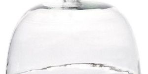 Transparent Glass Cake Dome