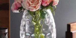 Transparent Glass Flower Vases