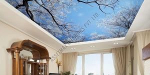 Stretch Ceiling Fitting Service