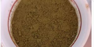 Moringa Leaves Powder