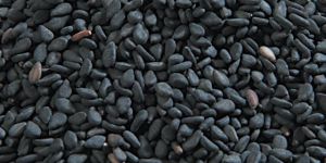 Black Sesame Seeds