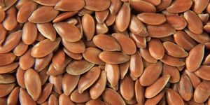 Flax Seed