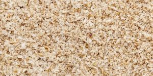 Psyllium Husk and Powder