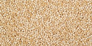 Quinoa Seeds