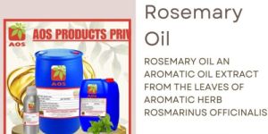 Rosemary Oil