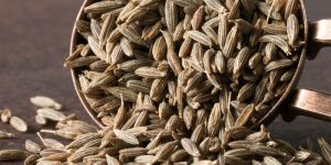 Cumin Seed