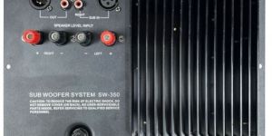 Doogesound SW-350 Hi End Subwoofer Plate (350W RMS)