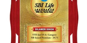 W-512 Customized Wooden Trophy