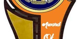 W-526 Customized Wooden Trophy