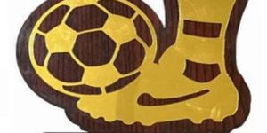 W-527 Customized Wooden Trophy