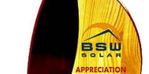 W-822 Customized Wooden Trophy