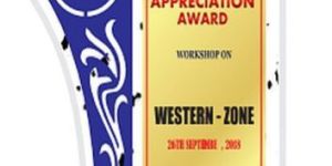 W-911 Customized Wooden Trophy