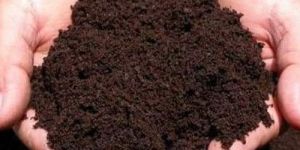 Vermicompost Training