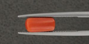 Natural Coral Gemstone 2.35 Cts