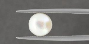 Natural Cultured Pearl
