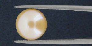 Natural Cultured Pearl Premium Quality