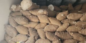 semul kapok natural fibers