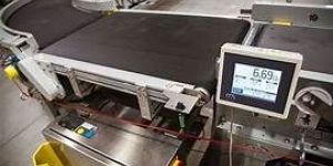 Weighing Conveyor