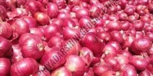 Fresh Nashik Red Onion