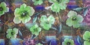 Print Organza Fabric