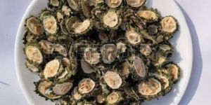 Dehydrated Bitter Gourd Slices