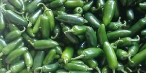 Jalapeno