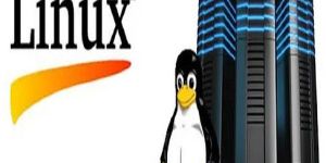 Linux Dedicated Server Services