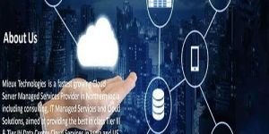Saas Cloud Computing Services