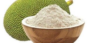 Green Jack Fruit Powder