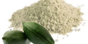 Green Papaya Powder