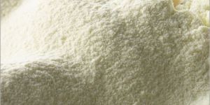 Freeze Dried Cow Milk Powder