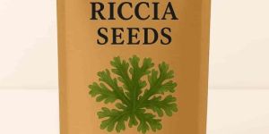 Riccia Seeds