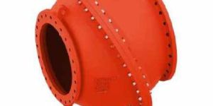 Cast Iron Multidoor Check Valve