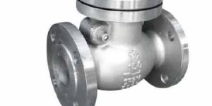 Cast Steel Check Valve