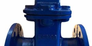 Ductile Iron Gate Valve