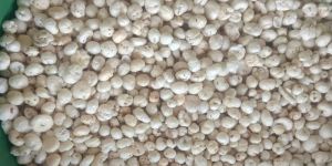 6 Plus Suta Raw Makhana