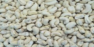 W240 Cashew Nuts
