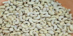 W320 Cashew Nuts