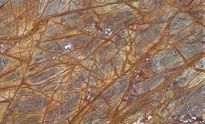 Rainforest Brown Marble