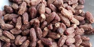 Kharek Dry Dates