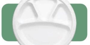 12 4 Round Compartment Plate