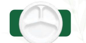 9 3 Round Compartment Plate