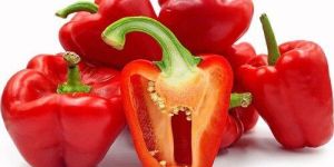 A Grade Red Bell Pepper