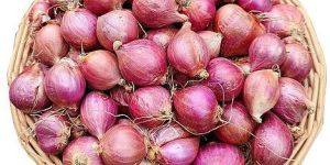 A Grade Sambar Onion