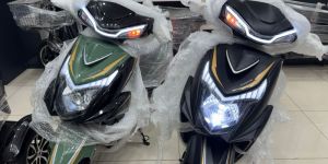 Electric Scooter (Road King)