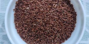 Red Rice - Lajani Supar