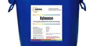 Xylanase for Food Processing