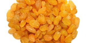 Golden Raisin
