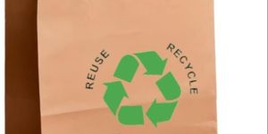 Eco-Friendly paper Bags