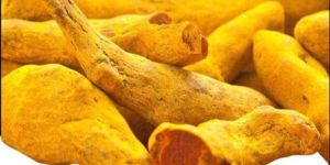 Natural Dried Turmeric Finger